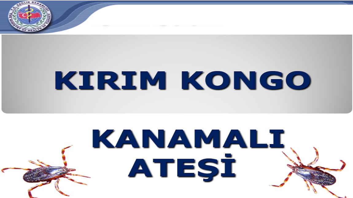 Kırım Kongo Kanamalı Ateşi (KKKA)